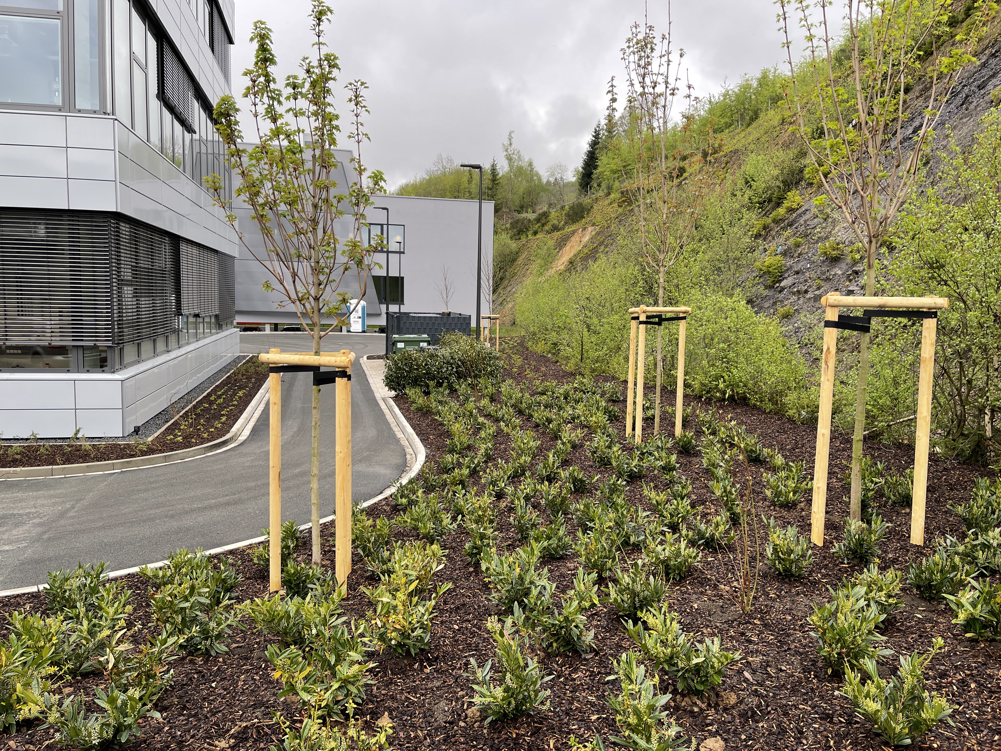 Herr Heinemann in der Planung